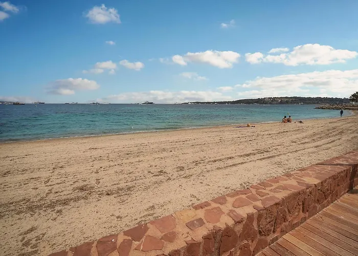 Le Cali - Front De - Palm - Vca Cannes